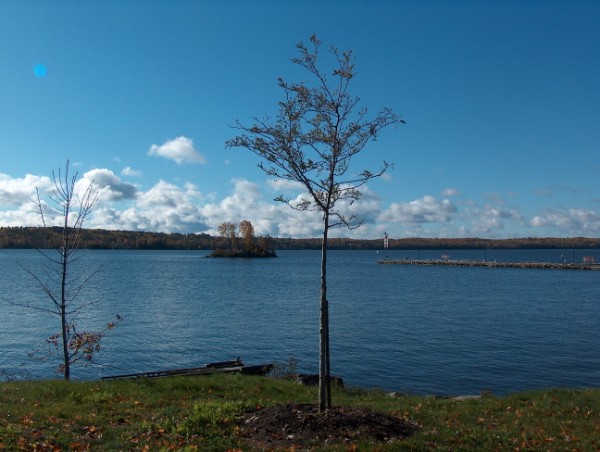 Last Look at the Old Callander Dock - 2012